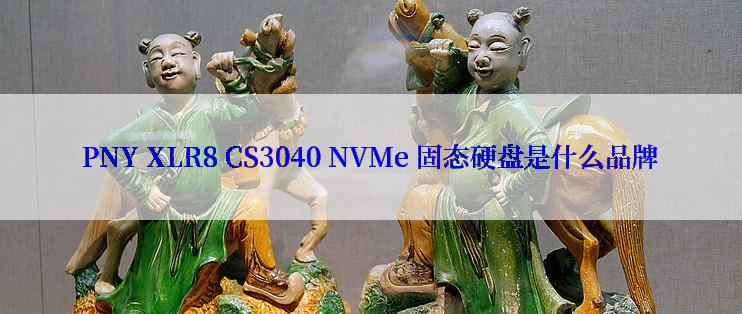 PNY XLR8 CS3040 NVMe 固态硬盘是什么品牌