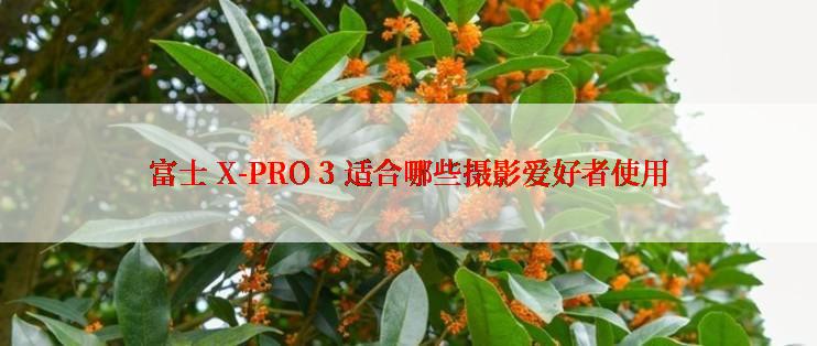 富士 X-PRO 3 适合哪些摄影爱好者使用