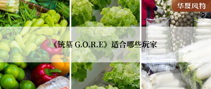 《铳墓 G.O.R.E》适合哪些玩家