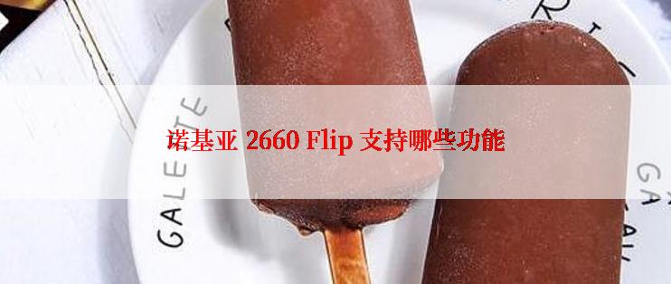 诺基亚 2660 Flip 支持哪些功能