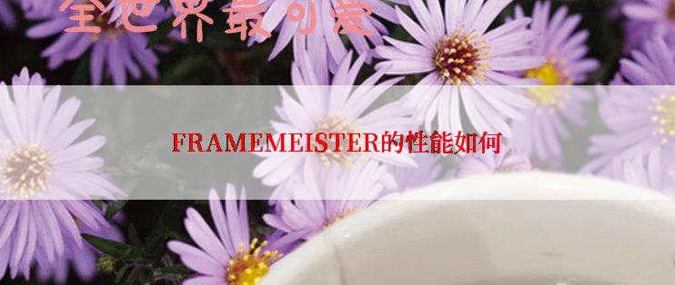 FRAMEMEISTER的性能如何