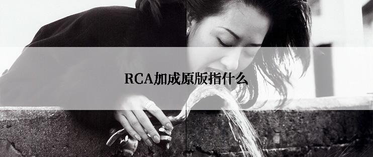 RCA加成原版指什么