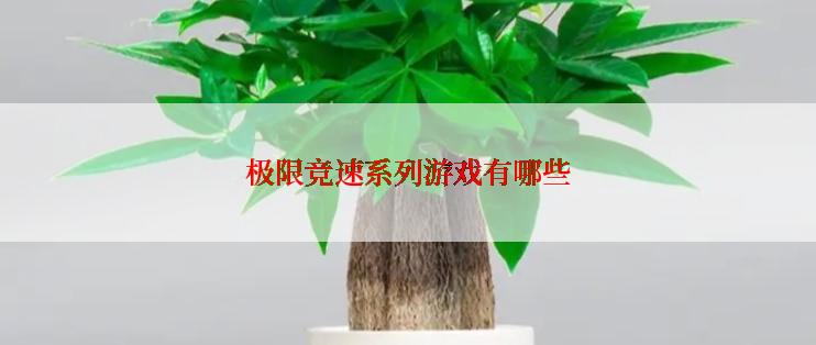 极限竞速系列游戏有哪些