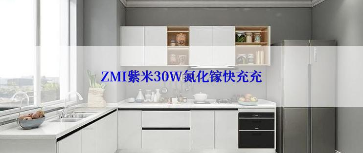 ZMI紫米30W氮化镓快充充