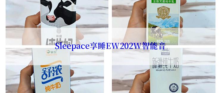 Sleepace享睡EW202W智能音