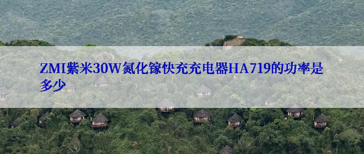 ZMI紫米30W氮化镓快充充电器HA719的功率是多少