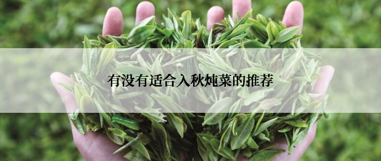 有没有适合入秋炖菜的推荐