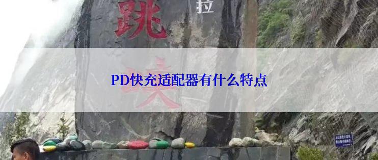 PD快充适配器有什么特点