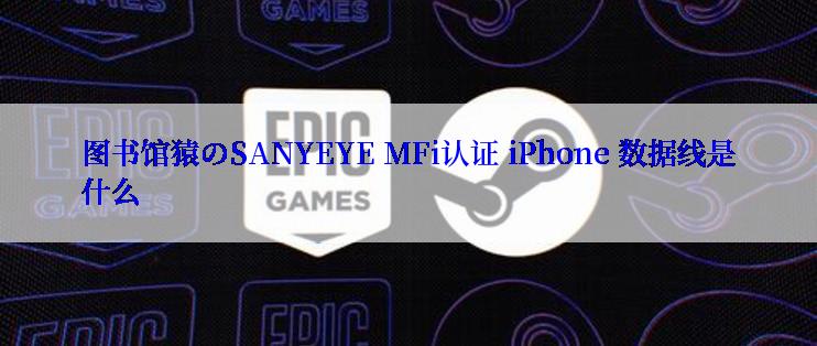 图书馆猿のSANYEYE MFi认证 iPhone 数据线是什么