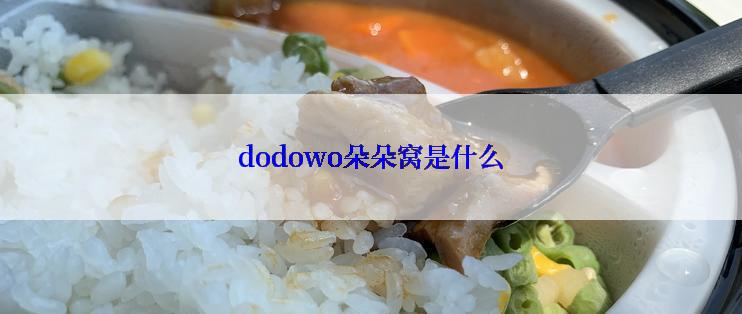 dodowo朵朵窝是什么