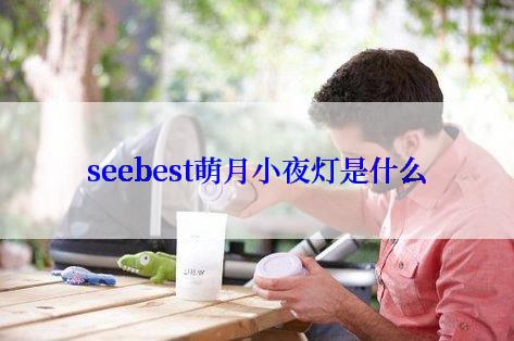 seebest萌月小夜灯是什么