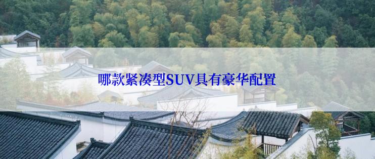 哪款紧凑型SUV具有豪华配置