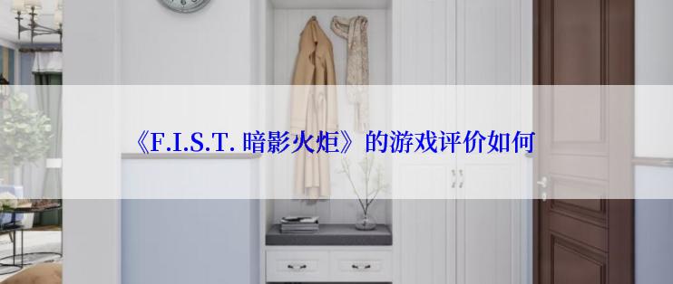 《F.I.S.T. 暗影火炬》的游戏评价如何