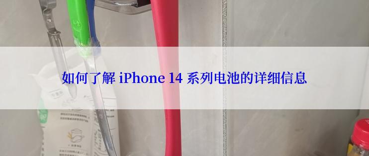 如何了解 iPhone 14 系列电池的详细信息