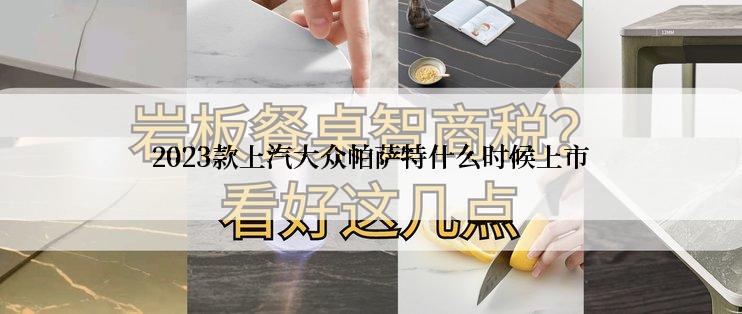 2023款上汽大众帕萨特什么时候上市