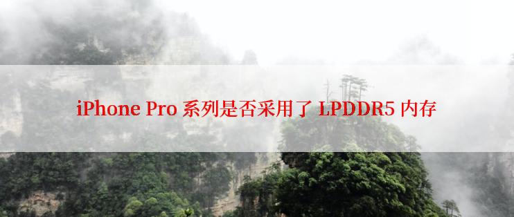 iPhone Pro 系列是否采用了 LPDDR5 内存