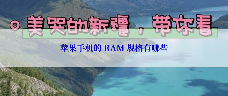 苹果手机的 RAM 规格有哪些