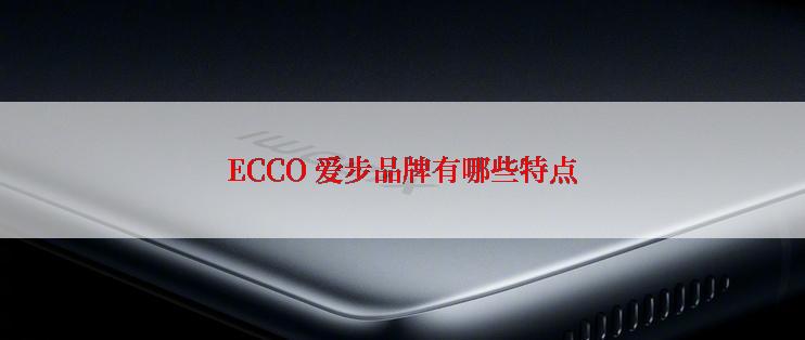 ECCO 爱步品牌有哪些特点