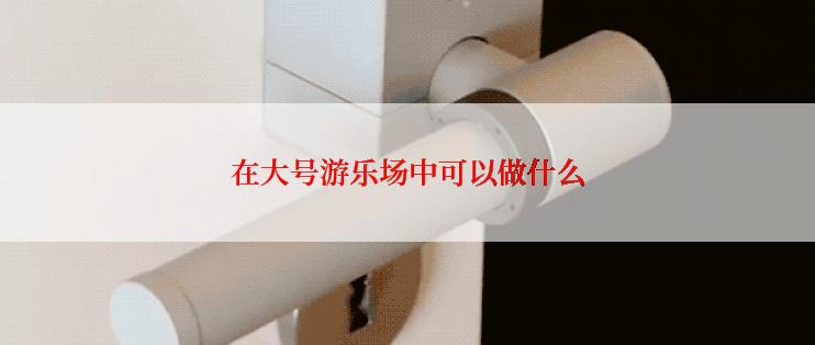 在大号游乐场中可以做什么