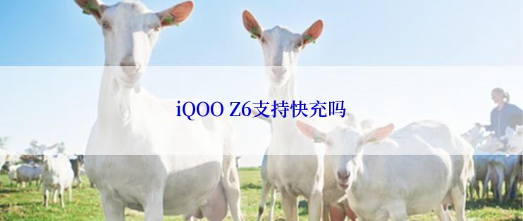 iQOO Z6支持快充吗