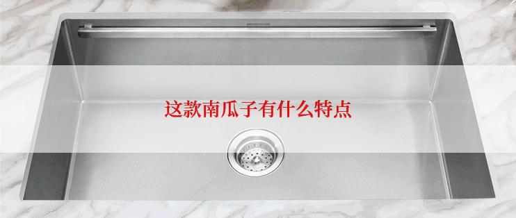 这款南瓜子有什么特点