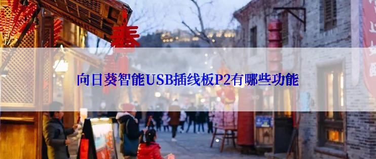 向日葵智能USB插线板P2有哪些功能