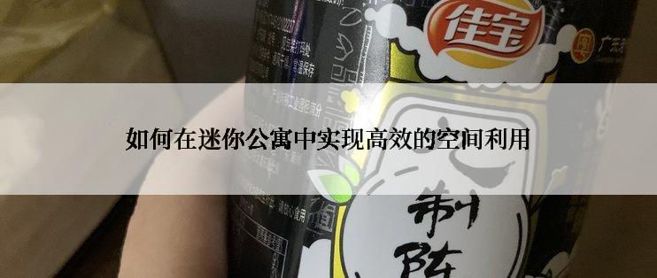 如何在迷你公寓中实现高效的空间利用