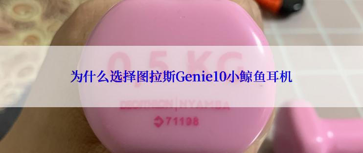 为什么选择图拉斯Genie10小鲸鱼耳机