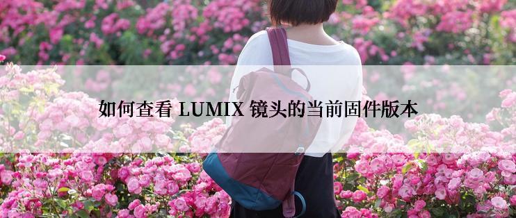 如何查看 LUMIX 镜头的当前固件版本