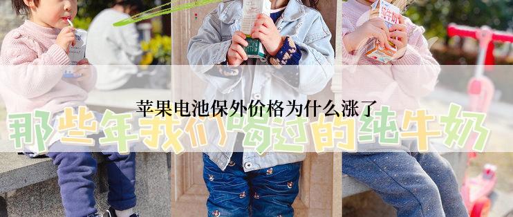 苹果电池保外价格为什么涨了