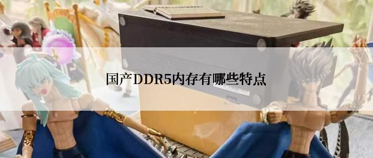 国产DDR5内存有哪些特点