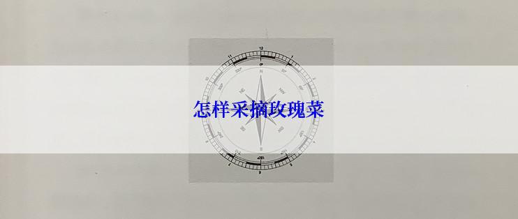 怎样采摘玫瑰菜