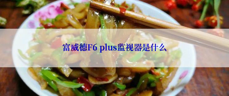 富威德F6 plus监视器是什么