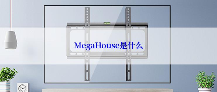 MegaHouse是什么