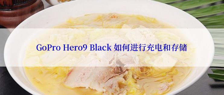 GoPro Hero9 Black 如何进行充电和存储