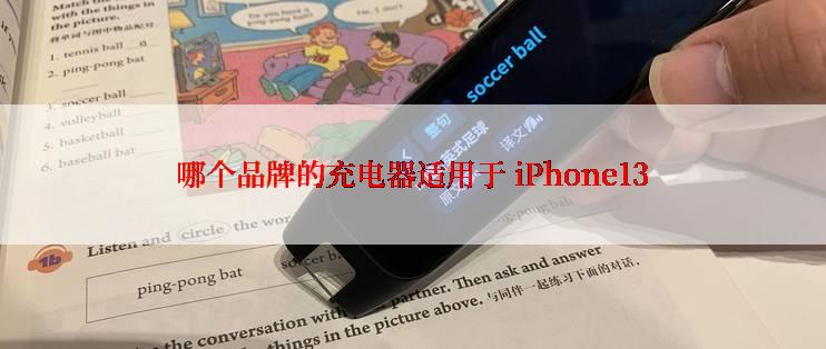 哪个品牌的充电器适用于 iPhone13