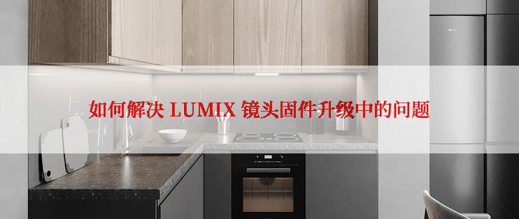 如何解决 LUMIX 镜头固件升级中的问题