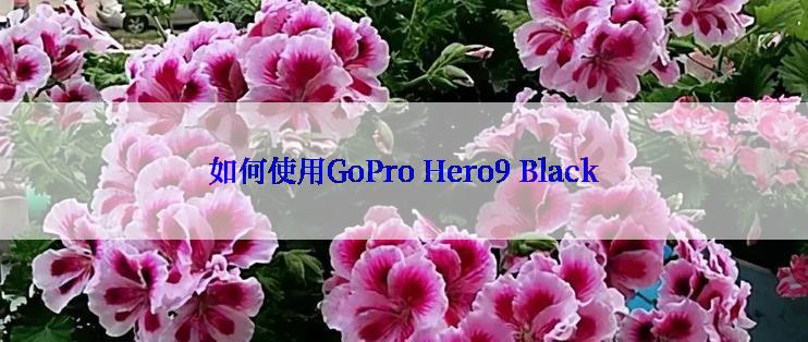 如何使用GoPro Hero9 Black