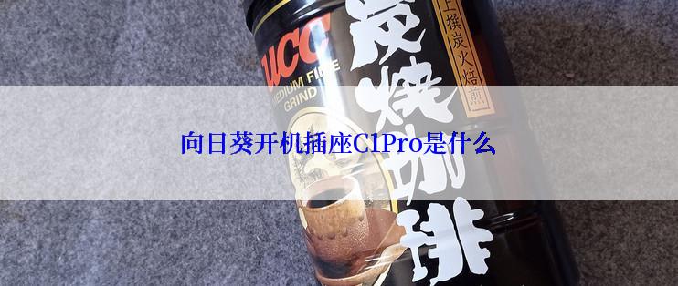 向日葵开机插座C1Pro是什么