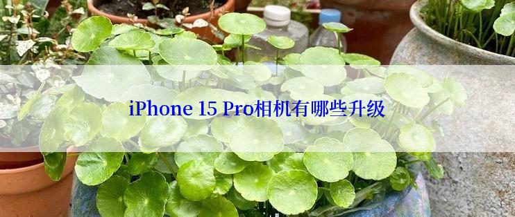 iPhone 15 Pro相机有哪些升级