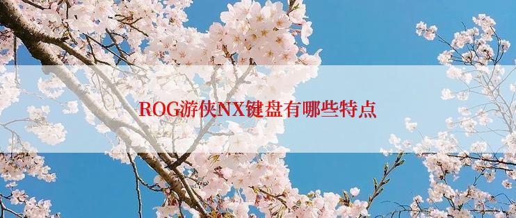 ROG游侠NX键盘有哪些特点