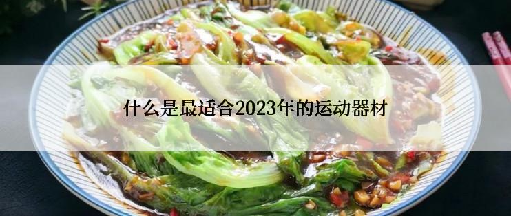 什么是最适合2023年的运动器材