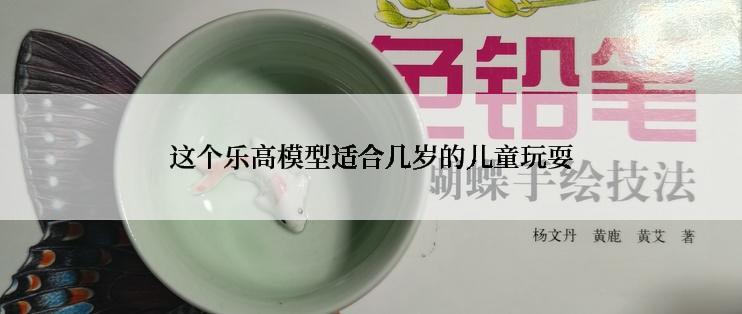 这个乐高模型适合几岁的儿童玩耍