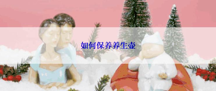 如何保养养生壶