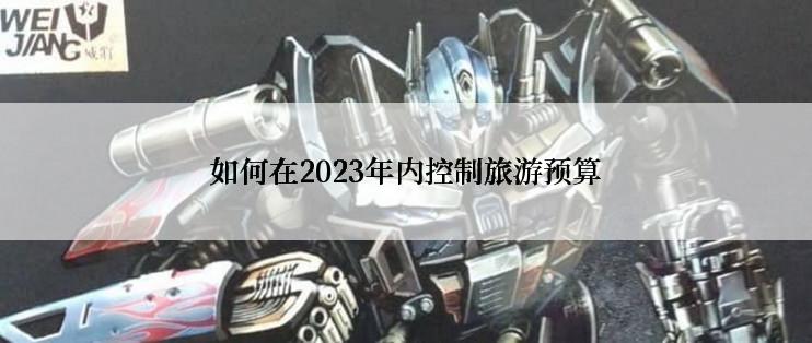 如何在2023年内控制旅游预算