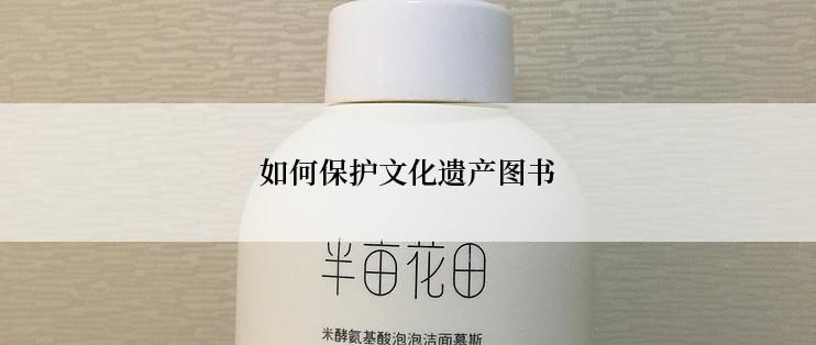 如何保护文化遗产图书