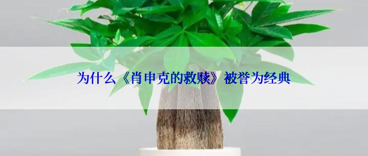 为什么《肖申克的救赎》被誉为经典