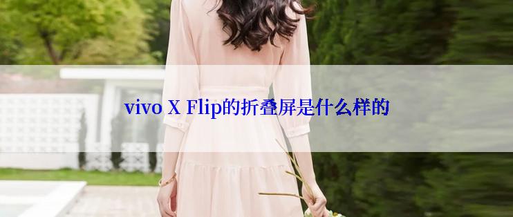 vivo X Flip的折叠屏是什么样的