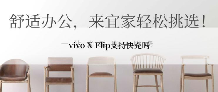 vivo X Flip支持快充吗