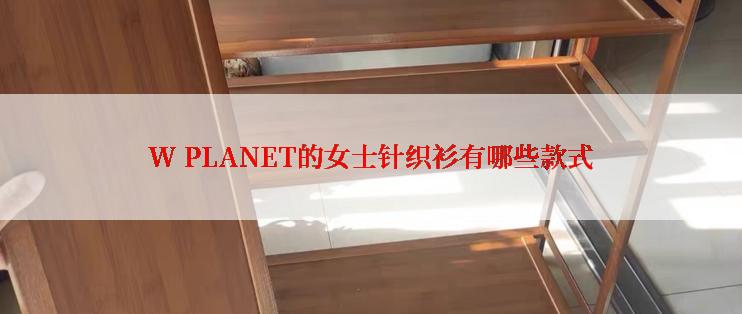 W PLANET的女士针织衫有哪些款式